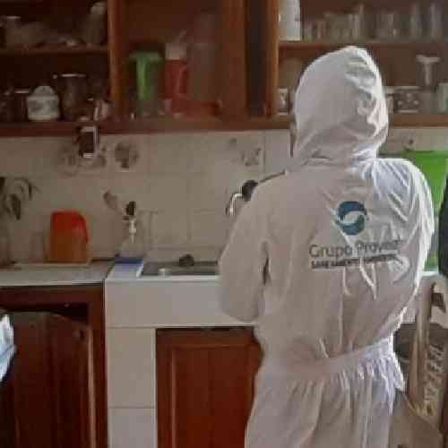 🛡️ Servicio de Fumigación en San Juan de Miraflores 🛡️