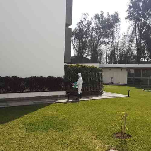 Servicio de Fumigación para Condominios