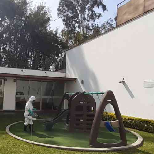Servicio de Fumigación para Condominios