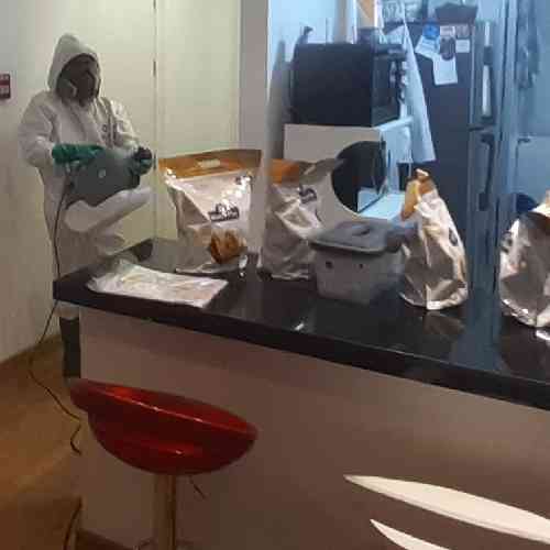 Servicio de Fumigación en Departamentos