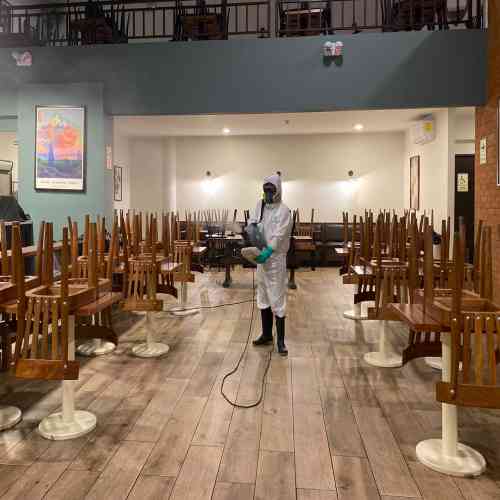 Servicio de Fumigación para Restaurantes