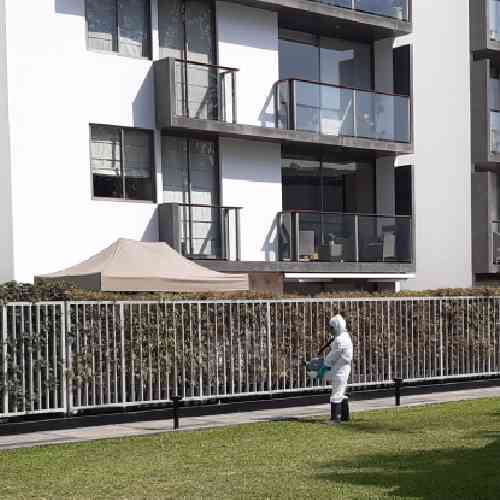 Servicio de Fumigación para Condominios