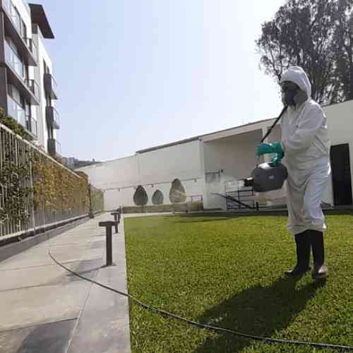 Servicio de Fumigación para Condominios