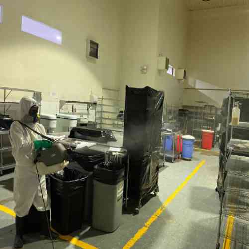 Servicio de Fumigación para Restaurantes